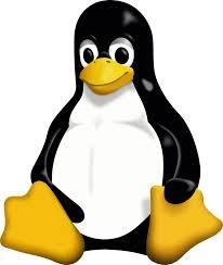 Kali Linux
