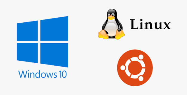 Operating System